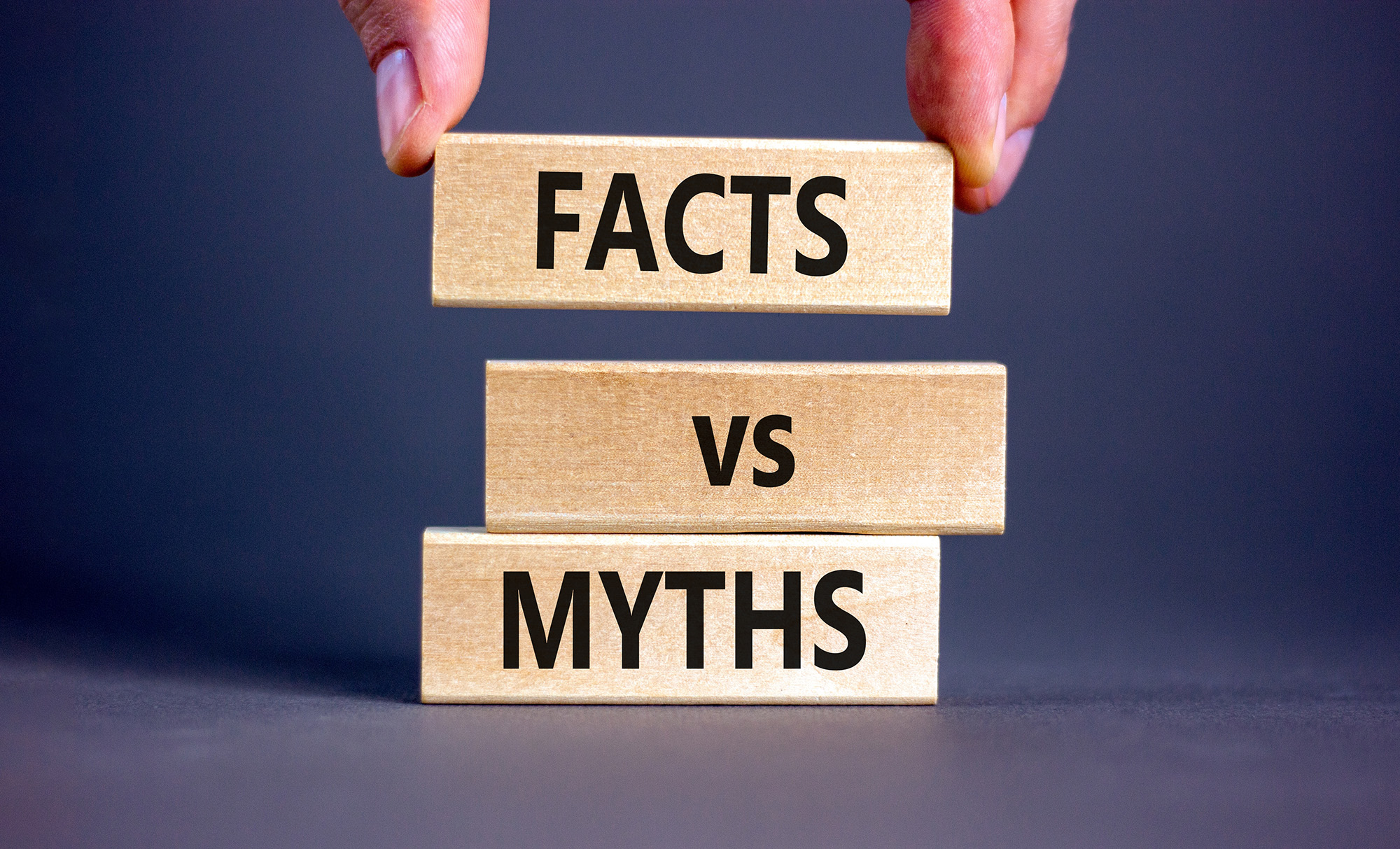 Chapter 9: The Role of Domain Hosting: Separating Myths from Facts